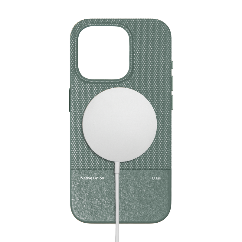iPhone 16 Pro / Slate Green