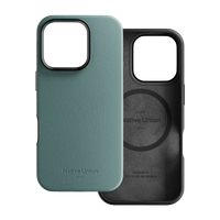 iPhone 16 / Slate Green