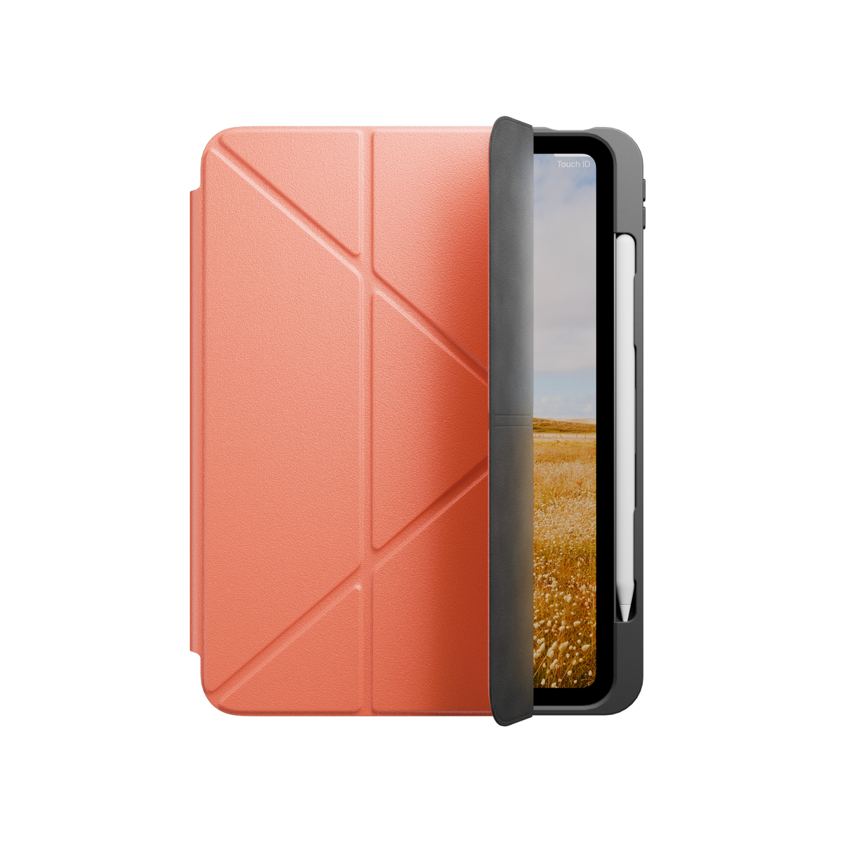 #color_apricot #model_iPad 10th Gen & later